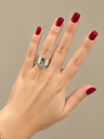 Anillo Siena